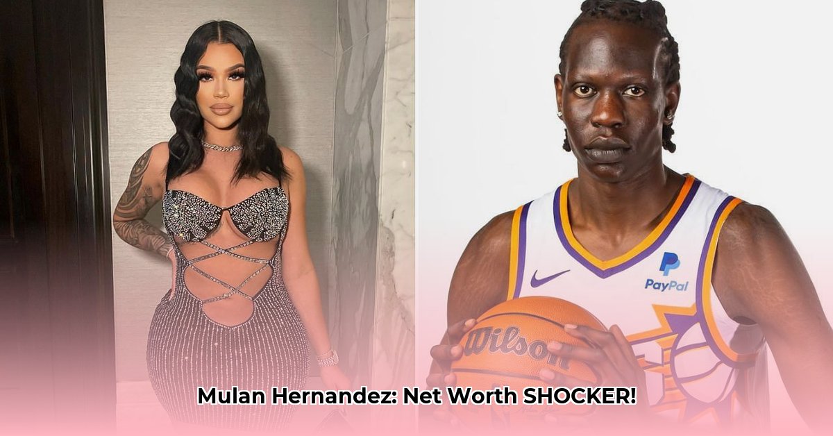 mulan-hernandez-net-worth